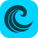 Surfpool logo